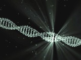 Digital DNA Flashcards