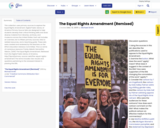 The Equal Rights Amendment (Remixed)