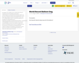 World Record Balloon Dog