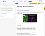 Killer T Cell: The Cancer Assassin