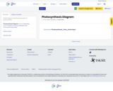 Photosynthesis Diagram