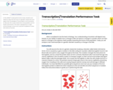 Transcription/Translation Performance Task