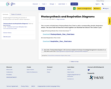 Photosynthesis and Respiration Diagrams