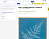 Explore and Make Cyanotype Photograms