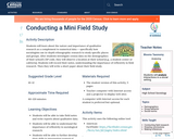 Conducting a Mini Field Study
