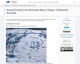 Animal Tracks Can Illuminate Many Things: A Detective Exercise