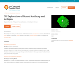 3D Exploration of Bound Antibody and Antigen