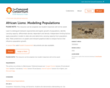 African Lions: Modeling Populations