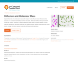 Diffusion and Molecular Mass