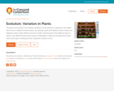 Evolution: Variation in Plants