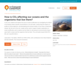 How is CO2 affecting our oceans and the organisms that live there?