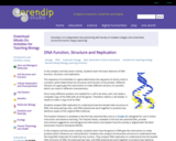 DNA Structure, Function and Replication