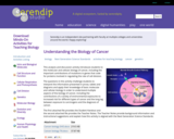 Understanding the Biology of Cancer
