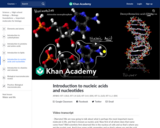 Introduction to nucleic acids and nucleotides