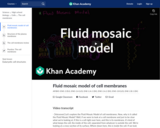 Fluid mosaic model of cell membranes