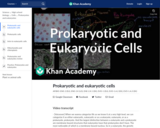 Prokaryotic and eukaryotic cells