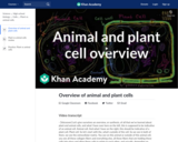 Overview of animal and plant cells