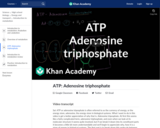 ATP: Adenosine triphosphate