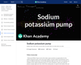 Sodium potassium pump
