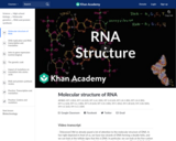 Molecular structure of RNA