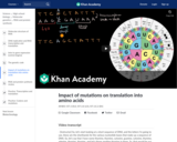 Impact of mutations on translation into amino acids