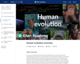Human evolution overview