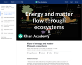 Flow of energy and matter through ecosystems