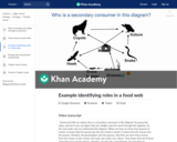 Example identifying roles in a food web