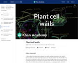 Plant cell walls
