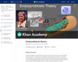 Endosymbiosis theory