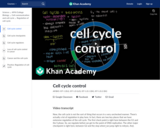 Cell cycle control