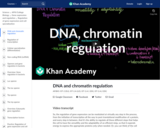 DNA and chromatin regulation