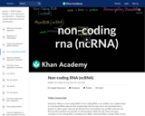Non-coding RNA (ncRNA)