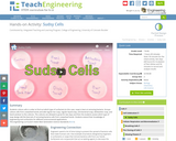 Sudsy Cells