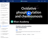 Biology: Oxidative Phosphorylation and Chemiosmosis