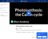 Biology: Photosynthesis:  Calvin Cycle