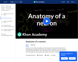 Biology: Anatomy of a Neuron