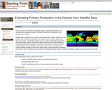 Estimating Primary Production in the Oceans from Satellite Data