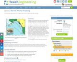 Marine animal tracking