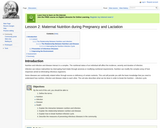 Lesson 2: Maternal Nutrition during Pregnancy and Lactation