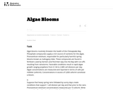 Algae Blooms