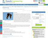 Adaptations for Bird Flight – Inspiration for Aeronautical Engineering