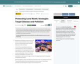 Protecting Coral Reefs: Strategies Target Disease and Pollution