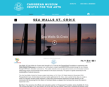 Sea Walls St Croix Artists for Oceans