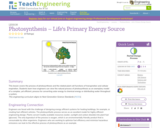 Photosynthesis: Life's Primary Energy Source