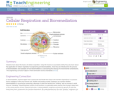 Cellular Respiration and Bioremediation