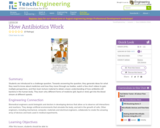 How Antibiotics Work