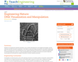 Engineering Nature: DNA Visualization and Manipulation