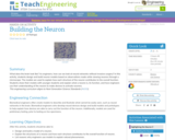 Building the Neuron