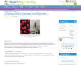 Organic Solar Energy and Berries